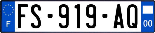 FS-919-AQ