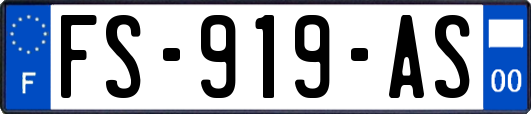 FS-919-AS