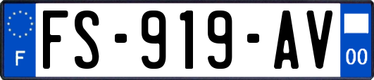 FS-919-AV