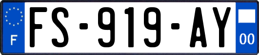 FS-919-AY
