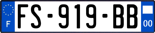 FS-919-BB