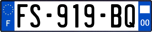 FS-919-BQ