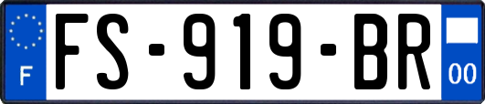FS-919-BR