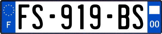 FS-919-BS