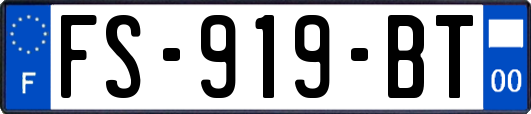 FS-919-BT