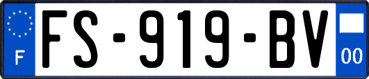 FS-919-BV
