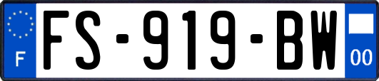 FS-919-BW