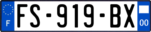 FS-919-BX