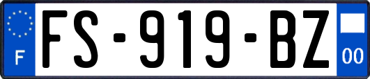 FS-919-BZ
