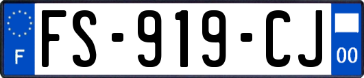 FS-919-CJ