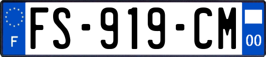 FS-919-CM