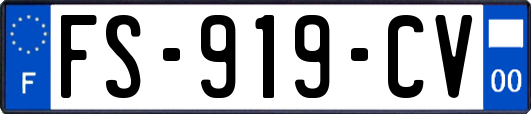FS-919-CV