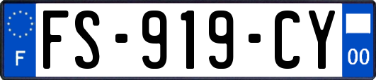 FS-919-CY