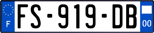 FS-919-DB