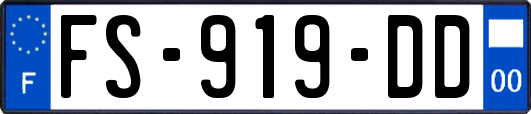 FS-919-DD