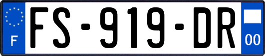 FS-919-DR
