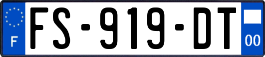FS-919-DT