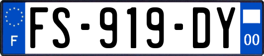 FS-919-DY