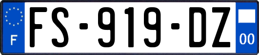 FS-919-DZ