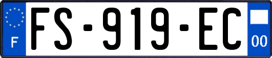 FS-919-EC