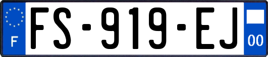 FS-919-EJ