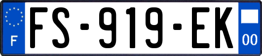 FS-919-EK