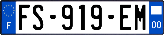FS-919-EM