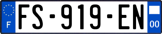FS-919-EN