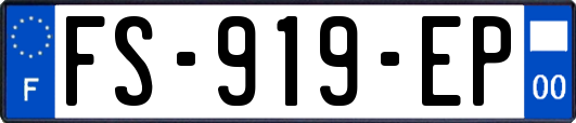 FS-919-EP