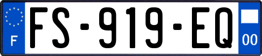 FS-919-EQ