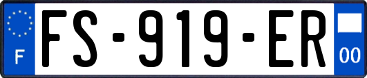 FS-919-ER