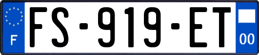 FS-919-ET