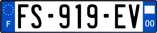 FS-919-EV