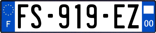 FS-919-EZ