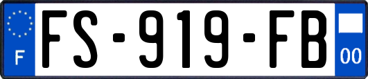 FS-919-FB
