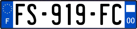 FS-919-FC