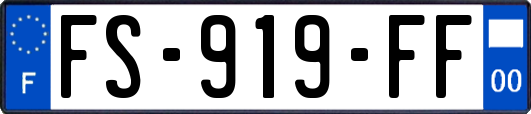 FS-919-FF