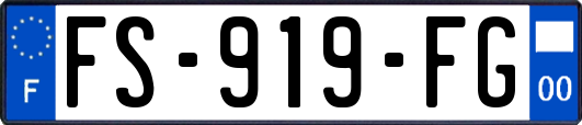 FS-919-FG
