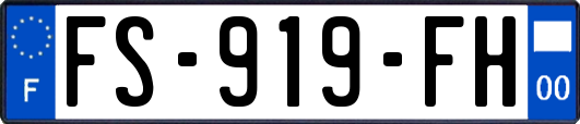FS-919-FH