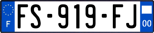 FS-919-FJ