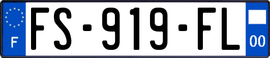 FS-919-FL
