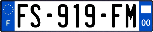 FS-919-FM