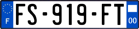 FS-919-FT