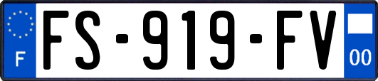 FS-919-FV