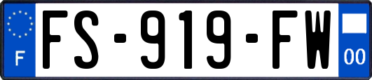 FS-919-FW