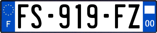 FS-919-FZ