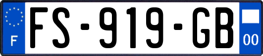 FS-919-GB