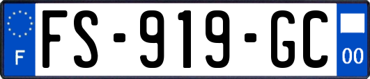 FS-919-GC