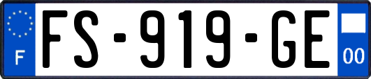 FS-919-GE
