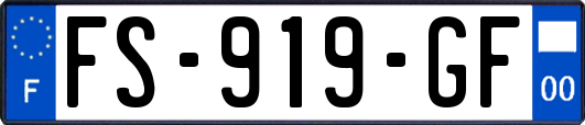 FS-919-GF